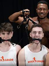 Studloads: Stable Master Stud Loads Vol. Six